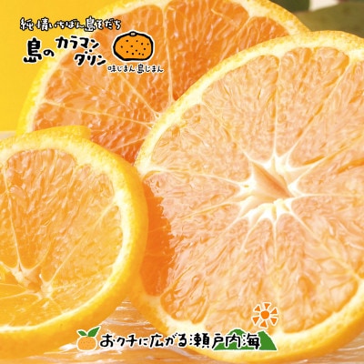 希望の島 完熟春みかん(カラマンダリン) 特選品 中玉 2kg 愛媛県松山市中島産