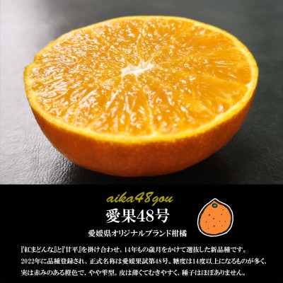 希望の島 愛果48号 特選品 中玉 2kg 愛媛県松山市中島産