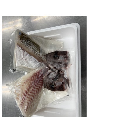 愛媛県産養殖真鯛フィレ2パック(頭1パック付)