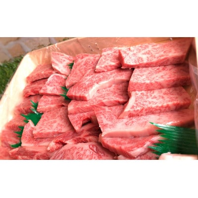 愛媛県産黒毛和牛　いしづち牛リブロース焼肉用　1.4kg