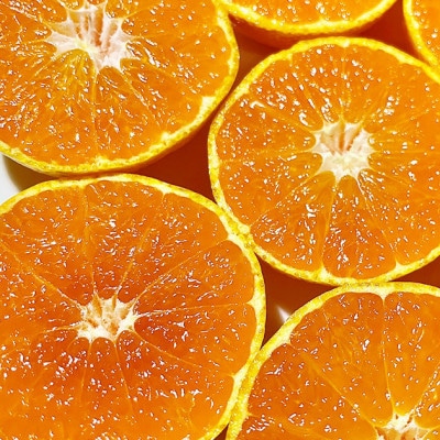 みかん坊やのもぎたてみかんジュース 1本