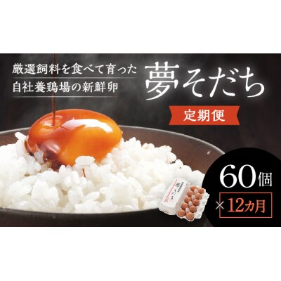 【12カ月定期便】お届け日時の指定必須「夢そだち60個」厳選飼料を食べて育った新鮮卵を♪D-3