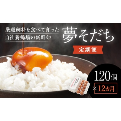 【12か月定期便】お届け日時の指定可能「夢そだち120個」厳選飼料を食べて育った新鮮卵を♪C-3
