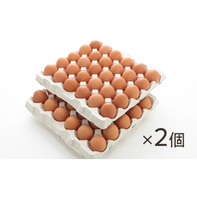 【12か月定期便】お届け日時の指定可能「夢そだち120個」厳選飼料を食べて育った新鮮卵を♪C-3