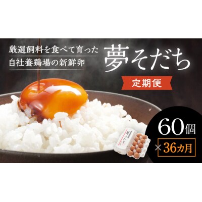 【36か月定期便】お届け日時の指定必須「夢そだち60個」厳選飼料を食べて育った新鮮卵を♪B-4