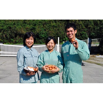 【36か月定期便】お届け日時の指定必須「夢そだち60個」厳選飼料を食べて育った新鮮卵を♪B-4