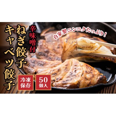 「ギョーザ中華そば専門店」の餃子!ねぎ餃子・きゃべつ餃子 50個入り 辛味噌付き　G-161