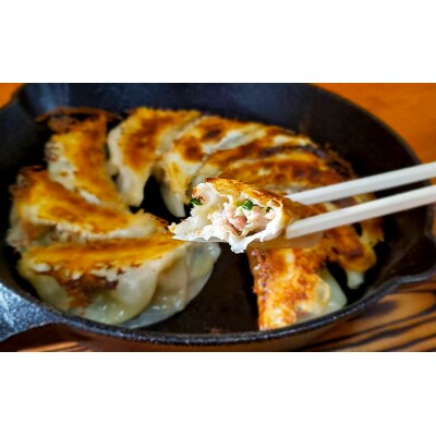「ギョーザ中華そば専門店」の餃子!ねぎ餃子・きゃべつ餃子 50個入り 辛味噌付き　G-161