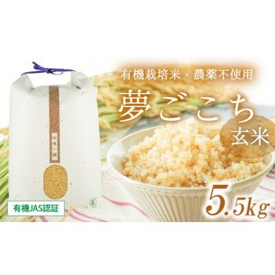 令和8年産 新米【有機JAS認証】 有機栽培米・農薬不使用 夢ごこち(5kg) T-25