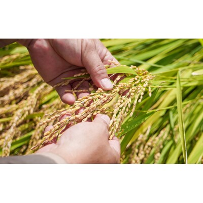 令和8年産 新米【有機JAS認証】 有機栽培米・農薬不使用 夢ごこち(5kg) T-25