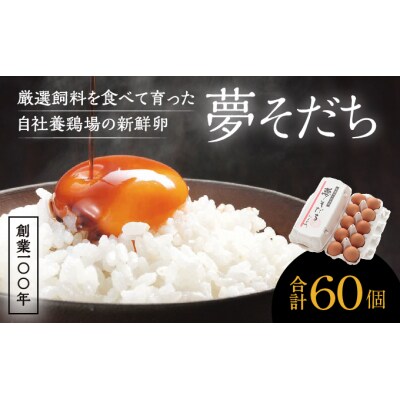 創業100年の藤橋商店が育んだ「夢そだち(60個)」H-56