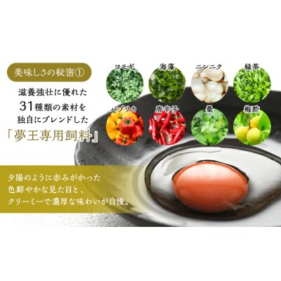 日本一に選ばれた高級卵「夢王(30個)」たまごかけごはん祭り3年連続グランプリ受賞!　H-159