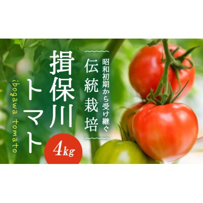 酸味と甘みのバランスがよい「揖保川トマト」4kg【発送時期:12月～6月】G-9
