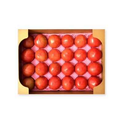 酸味と甘みのバランスがよい「揖保川トマト」4kg【発送時期:12月～6月】G-9