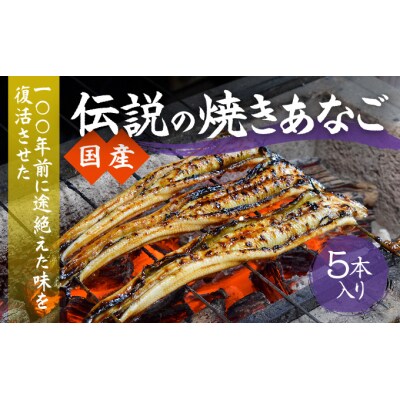 【紀州備長炭による手焼き】「国産・焼き穴子(5本入り)」J-25