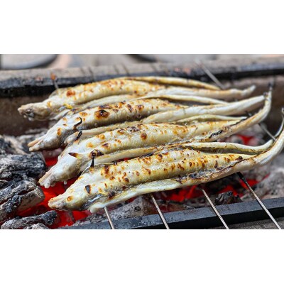 【紀州備長炭による手焼き】「国産・焼き穴子(5本入り)」J-25