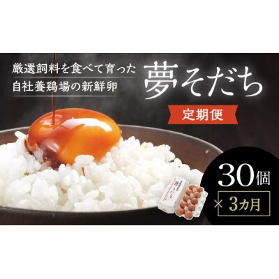 【3カ月定期便】「夢そだち30個」厳選飼料を食べて育った自社養鶏場の新鮮卵を♪　J-61