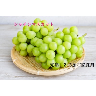 シャインマスカット　2～3房　1kg～1.2kg　U-14