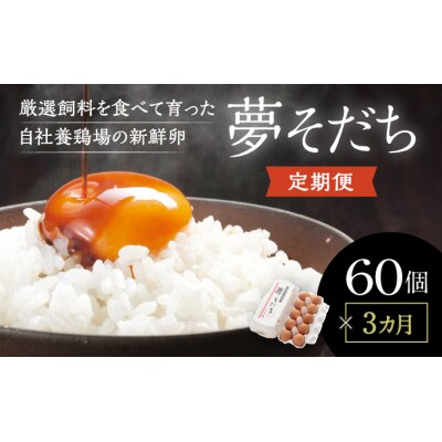 【3か月定期便】「夢そだち60個」厳選飼料を食べて育った自社養鶏場の新鮮卵を♪F-37