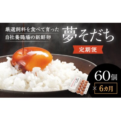 【6カ月定期便】お届け日時の指定必須「夢そだち60個」厳選飼料を食べて育った新鮮卵を♪E-24