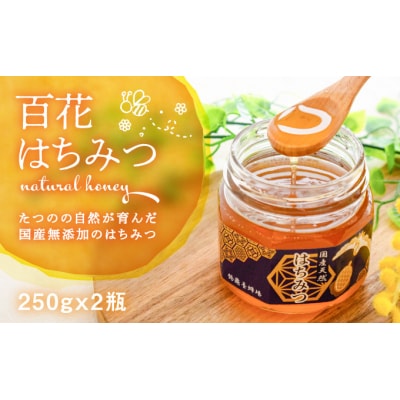 【国産無添加】たつのの自然が育んだ天然「百花はちみつ」250g×2瓶　H-73