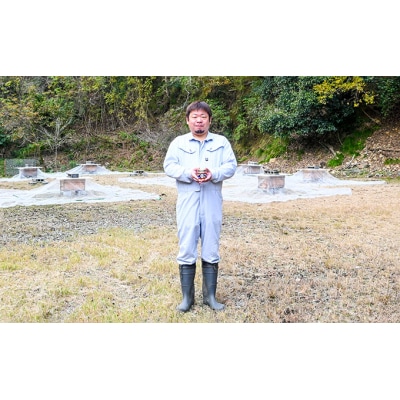 【国産無添加】たつのの自然が育んだ天然「百花はちみつ」250g×2瓶　H-73