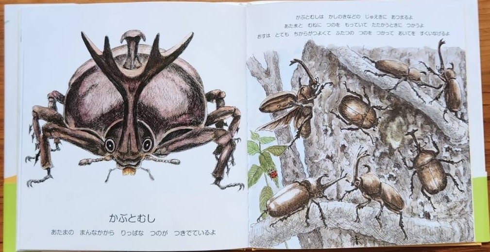 絵本「にらめっこしましょ　むっしっし」　直筆サイン入り2冊セット　H-206