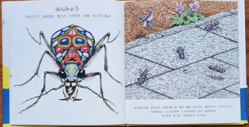 絵本「にらめっこしましょ　むっしっし」　直筆サイン入り2冊セット　H-206