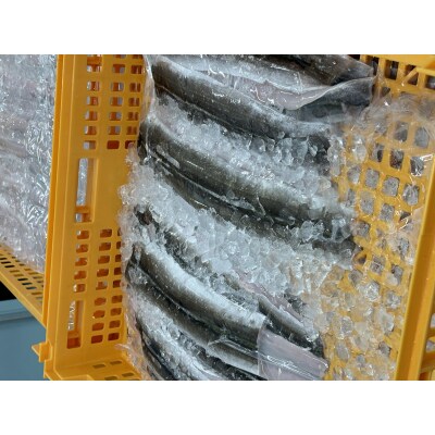 瀬戸内海産 天然はも骨切り　G-157