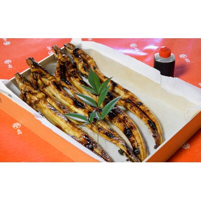 【紀州備長炭による手焼き】「国産・焼き穴子(4本入り)」G-104