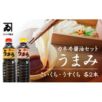 【明治2年創業 カネヰ醤油】風味醤油「うまみ」こいくち・うすくち各500ml×2本セット　H-88