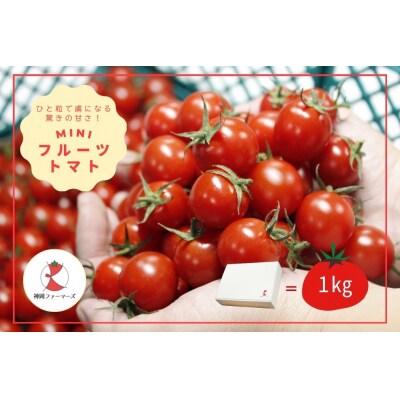 フルーツトマト【発送時期:1月～6月】　H-232