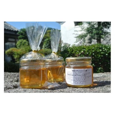 たつの市産はちみつ(百花)天然無添加　250g×3瓶　G-50