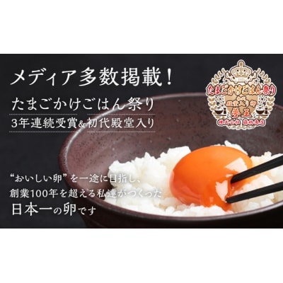 日本一に選ばれた高級卵【夢王10個　贈答箱入り】　H-263