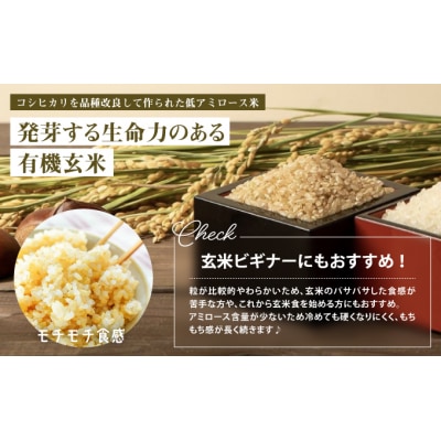 令和8年産 新米 【10月以降順次発送】【農薬・化学肥料不使用】ミルキークイーン(4kg)　U-10