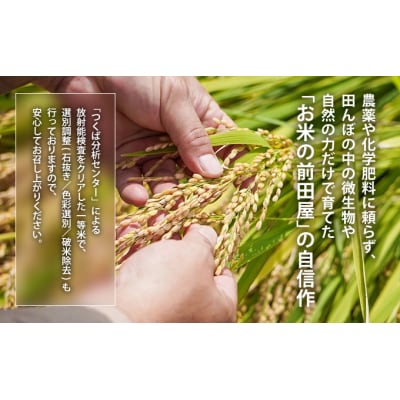 令和8年産 新米 【10月以降順次発送】【農薬・化学肥料不使用】ミルキークイーン(4kg)　U-10