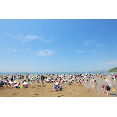 新舞子潮干狩りペアチケット　H-70