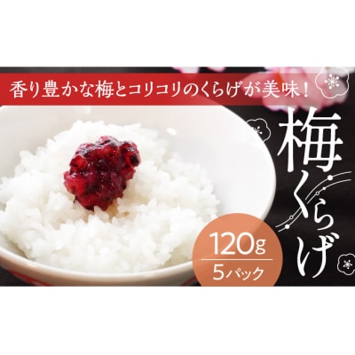 【国産紀州南高梅使用】梅くらげ120g×5パック　U-20