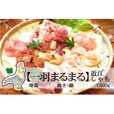 実生庵の地鶏近江しゃも【一羽分まるまる】BBQ焼肉 水炊き鍋 1500g冷蔵#259