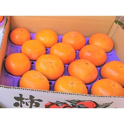 実生庵の近江今津産富有柿 2L 約3.0kg 1箱 14～16玉#90