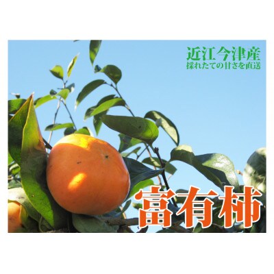 実生庵の近江今津産富有柿 2L 約3.0kg 1箱 14～16玉#90