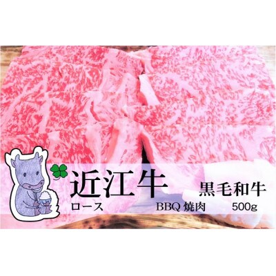 実生庵の黒毛和牛近江牛【上霜降り】BBQ焼肉用 500g 冷蔵 #217