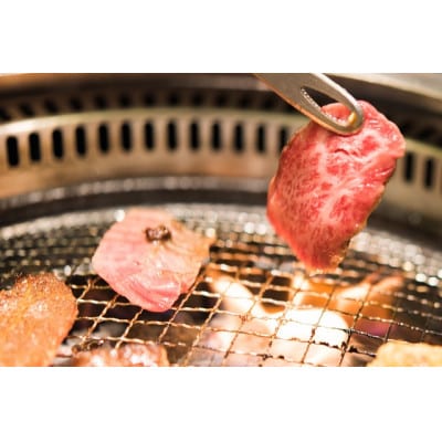 冷凍配送 実生庵の黒毛和牛近江牛【並】モモ BBQ焼肉用 1000g #462