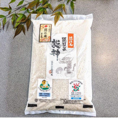 2024年産【数量限定】実生庵の近江米 琵琶の龍神【食味本位】2kg×1袋 滋賀県高島市産 MS68