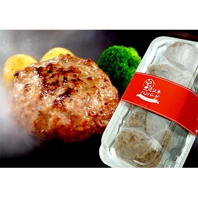 近江牛ハンバーグ100g×5個セット