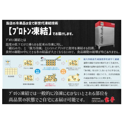 近江牛ハンバーグ100g×5個セット