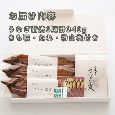 《中元好適品・のし・包装対応》近江今津 西友のうなぎ炭火焼蒲焼詰合せ SK-110F