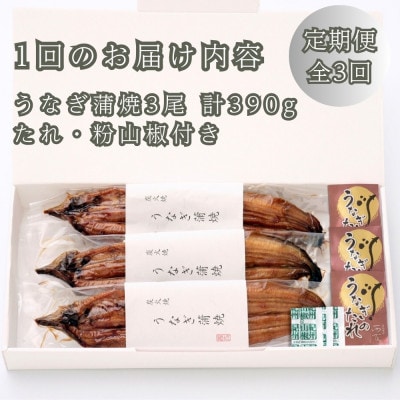 【毎月定期便】近江今津/西友のうなぎ炭火焼蒲焼(3尾) SU-110 全3回