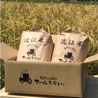 【令和5年産】　ファームひらいの環境こだわり米コシヒカリ玄米5kg×2