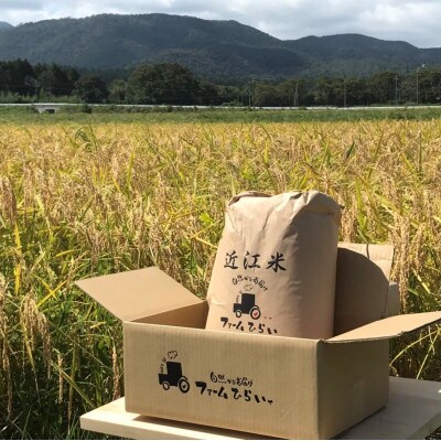 【令和5年産】　ファームひらいの環境こだわり米コシヒカリ白米10kg